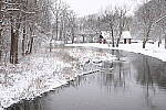 Click to see Y-JG-NIKON-Z9-0280.JPG