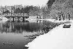 Click to see Y-JG-NIKON-Z9-0282-MOD.JPG