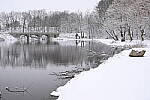 Click to see Y-JG-NIKON-Z9-0282.JPG