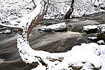 Click to see Y-JG-NIKON-Z9-0291.JPG
