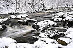 Click to see Y-JG-NIKON-Z9-0303.JPG