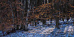 Click to see Y-JG-NIKON-Z9-0336-MOD.JPG