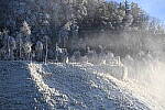 Click to see Y-JG-NIKON-Z9-0367.JPG