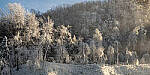 Click to see Y-JG-NIKON-Z9-0368-MOD.JPG