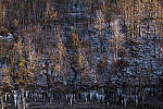 Click to see Y-JG-NIKON-Z9-0374-MOD.JPG
