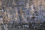 Click to see Y-JG-NIKON-Z9-0374.JPG