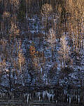 Click to see Y-JG-NIKON-Z9-0375-MOD.JPG