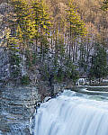 Click to see Y-JG-NIKON-Z9-0402-MOD.JPG
