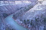 Click to see Y-JG-NIKON-Z9-0445.JPG