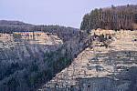 Click to see Y-JG-NIKON-Z9-0446-MOD.JPG