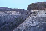 Click to see Y-JG-NIKON-Z9-0446.JPG