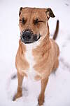 Click to see Y-JG-NIKON-Z9-0596.JPG
