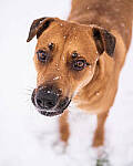 Click to see Y-JG-NIKON-Z9-0607-MOD.JPG