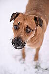 Click to see Y-JG-NIKON-Z9-0607.JPG