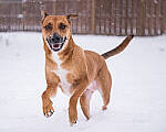 Click to see Y-JG-NIKON-Z9-0765-MOD.JPG