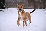 Click to see Y-JG-NIKON-Z9-0765.JPG