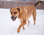 Click to see Y-JG-NIKON-Z9-0776-MOD.JPG