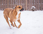 Click to see Y-JG-NIKON-Z9-0937-MOD.JPG