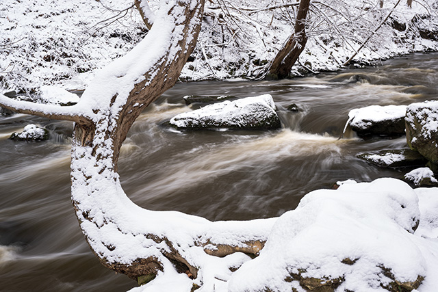 Nikon Z9 Review: Field Test -- Gallery Image