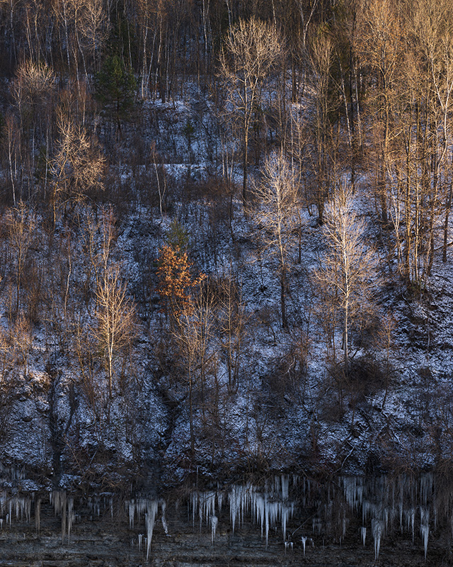 Nikon Z9 Review: Field Test -- Gallery Image