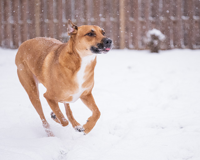 Nikon Z9 Review: Field Test -- Gallery Image