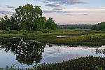 Click to see Y-JG-NIKON-Z-FC-0311-MOD.JPG