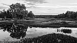 Click to see Y-JG-NIKON-Z-FC-0314-MOD.JPG