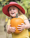 Click to see Y-JG-NIKON-Z-FC-0429-MOD.JPG