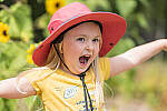 Click to see Y-JG-NIKON-Z-FC-0464-MOD.JPG