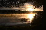 Click to see Y-JG-NIKON-Z-FC-0500.JPG