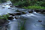 Click to see Y-JG-NIKON-Z-FC-0602.JPG