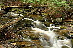 Click to see Y-JG-NIKON-Z-FC-0659.JPG