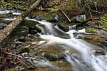 Click to see Y-JG-NIKON-Z-FC-0670.JPG