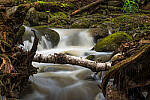 Click to see Y-JG-NIKON-Z-FC-0677-MOD.JPG