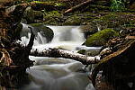 Click to see Y-JG-NIKON-Z-FC-0677.JPG
