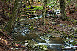 Click to see Y-JG-NIKON-Z-FC-0682-MOD.JPG