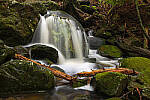 Click to see Y-JG-NIKON-Z-FC-0683-MOD.JPG