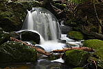 Click to see Y-JG-NIKON-Z-FC-0683.JPG