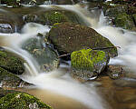 Click to see Y-JG-NIKON-Z-FC-0692-MOD.JPG