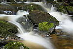 Click to see Y-JG-NIKON-Z-FC-0692.JPG