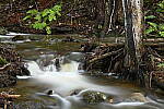 Click to see Y-JG-NIKON-Z-FC-0698.JPG
