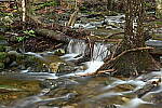 Click to see Y-JG-NIKON-Z-FC-0701.JPG