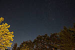Click to see Y-JG-NIKON-Z-FC-0707-MOD.JPG