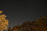 Click to see Y-JG-NIKON-Z-FC-0707.JPG