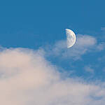Click to see Y-JG-NIKON-Z-FC-0756-MOD.JPG