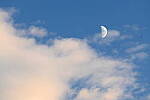 Click to see Y-JG-NIKON-Z-FC-0756.JPG