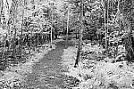 Click to see Y-JG-Z-FC-24-200-0654-MOD.JPG