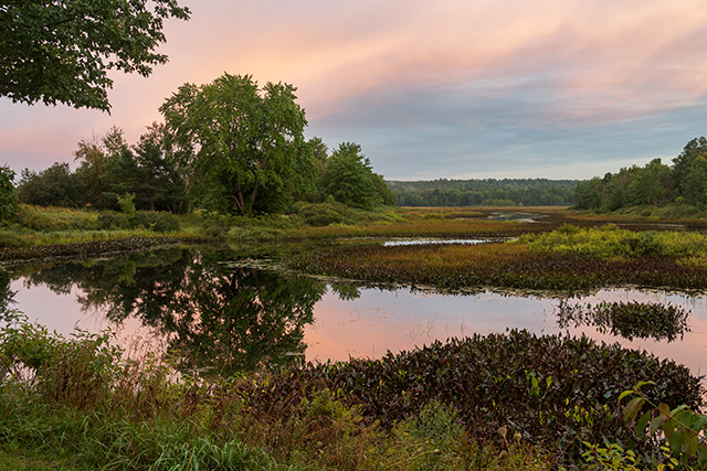 Nikon Z fc Review: Field Test -- Gallery Image