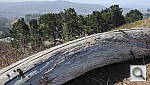 Click to see YDSCN0357.JPG