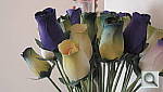 Click to see YDSCN0376.JPG
